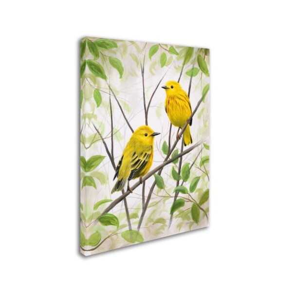 Chuck Black 'Springtime Warblers' Canvas Art,18x24